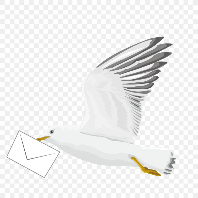 Bird Euclidean Vector, PNG, 1500x1500px, Homing Pigeon, Beak, Bird, Columbidae, Ducks Geese And Swans Download Free