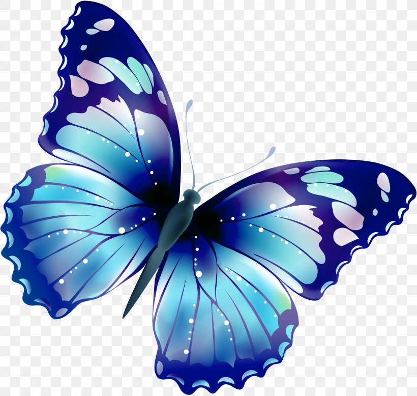 Butterfly Clip Art, PNG, 2910x2764px, Butterfly, Art, Arthropod, Blog, Blue Download Free