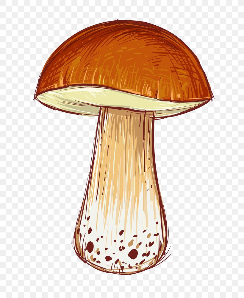 Cartoon Illustration, PNG, 707x1000px, Cartoon, Advertising, Art, Enokitake, Mushroom Download Free