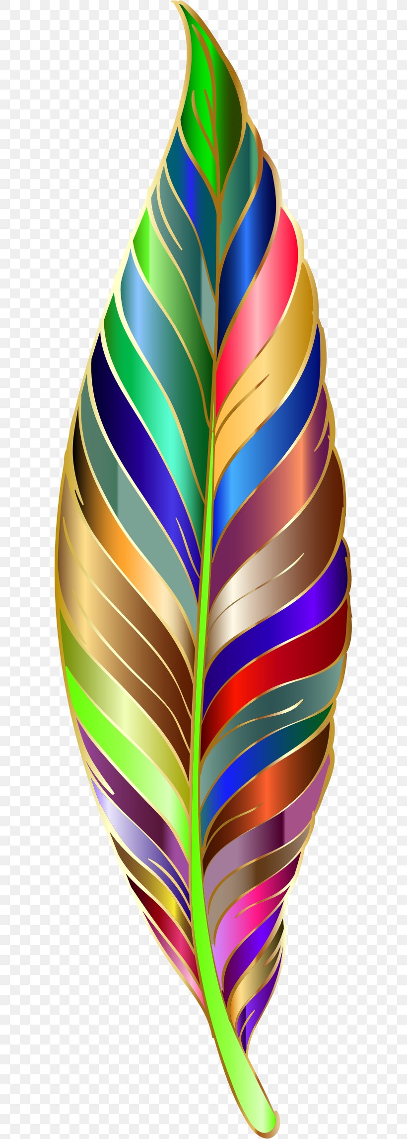 Clip Art, PNG, 600x2290px, Feather, Leaf, Spinal Muscular Atrophy, Spiral Download Free
