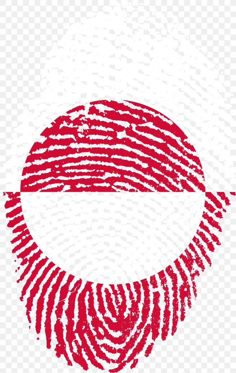 Palau Fingerprint United States Albania Flag Of China, PNG, 1573x2488px, Palau, Albania, Area, Fingerprint, Flag Download Free
