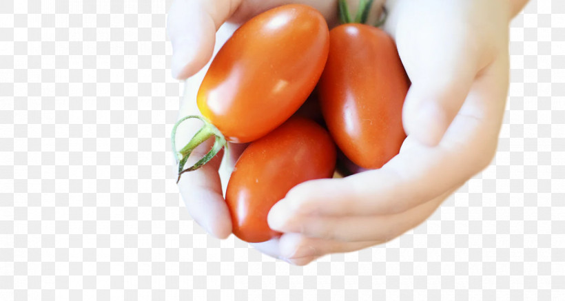 Tomato, PNG, 1200x640px, Natural Foods, Bean, Bell Pepper, Farm, Fruit Download Free