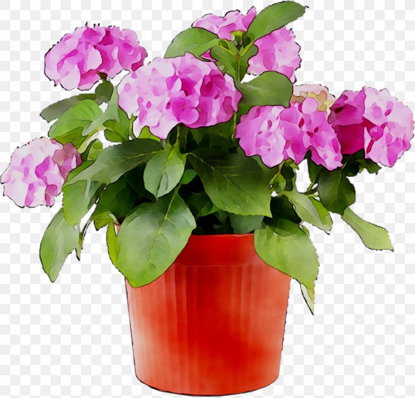 Belmont Nursery Flowerpot Garden, PNG, 1051x1007px, Nursery, Agriculture, Annual Plant, Begonia, Busy Lizzie Download Free