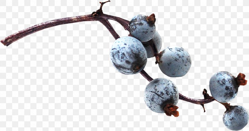 Blueberry, PNG, 1054x556px, Blueberry, Berry, Food, Fruit, Plant Download Free