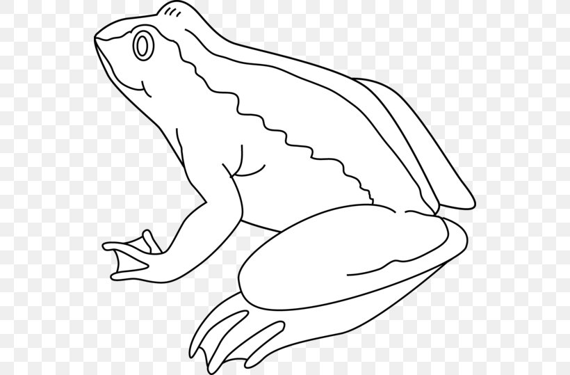 Frog Black And White Clip Art, PNG, 550x539px, Frog, Amphibian, Area, Art, Artwork Download Free