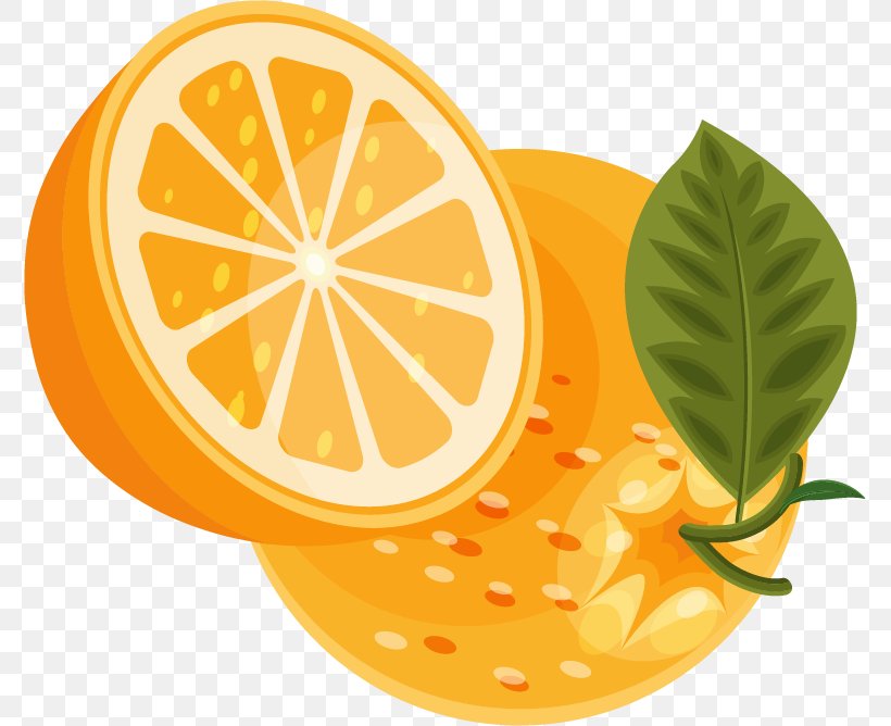 Lemon Orange, PNG, 775x668px, Lemon, Citric Acid, Citrus, Designer, Diet Food Download Free