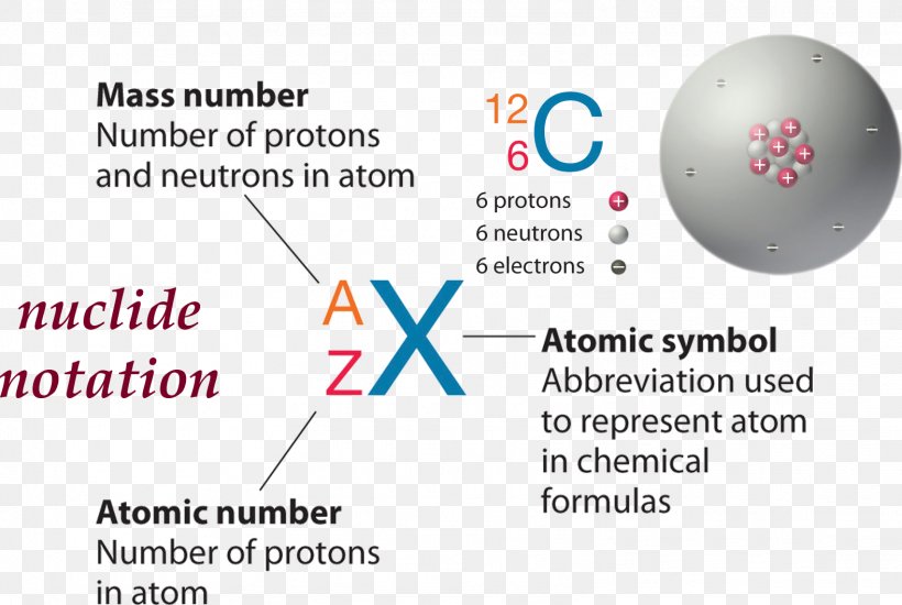 Neutron Number Atomic Number Atomic Nucleus, PNG, 1577x1059px, Neutron, Area, Atom, Atomic Mass, Atomic Nucleus Download Free