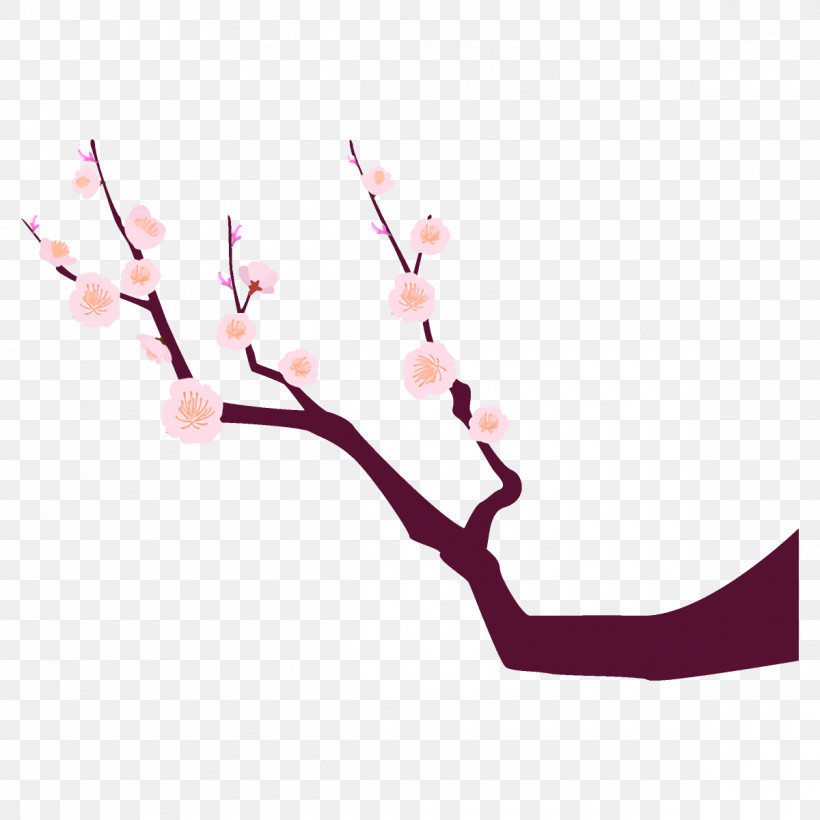 Plum Branch Plum Winter Flower, PNG, 1200x1200px, Plum Branch, Blossom, Branch, Cherry Blossom, Flower Download Free