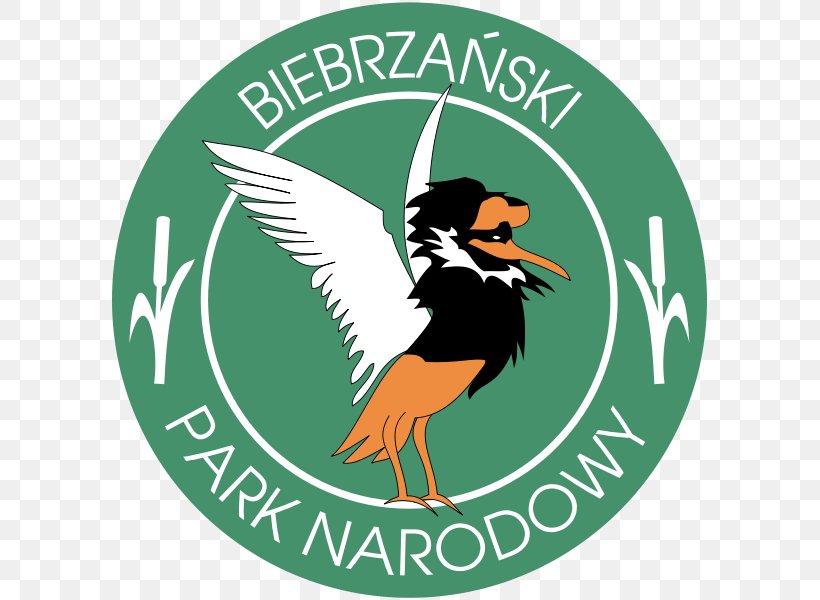 Biebrza National Park Białowieża National Park Roztocze National Park Goniądz, PNG, 595x600px, Park, Beak, Bird, Grass, Logo Download Free