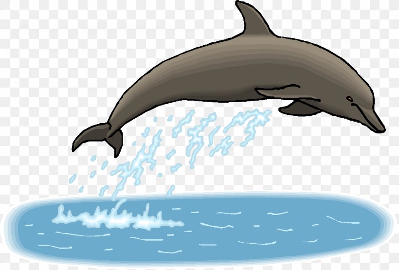 Common Bottlenose Dolphin Tucuxi Short-beaked Common Dolphin Rough-toothed Dolphin Wholphin, PNG, 1152x781px, Common Bottlenose Dolphin, Automotive Design, Biology, Bottlenose Dolphin, Cetacea Download Free