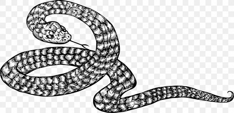 Kingsnakes Black And White Illustration, PNG, 2450x1194px, Kingsnakes, Black And White, Body Jewelry, Cobra, Cobras Download Free