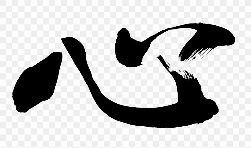 Bird Beak Cat Clip Art, PNG, 3433x2030px, Bird, Art, Beak, Black, Black And White Download Free