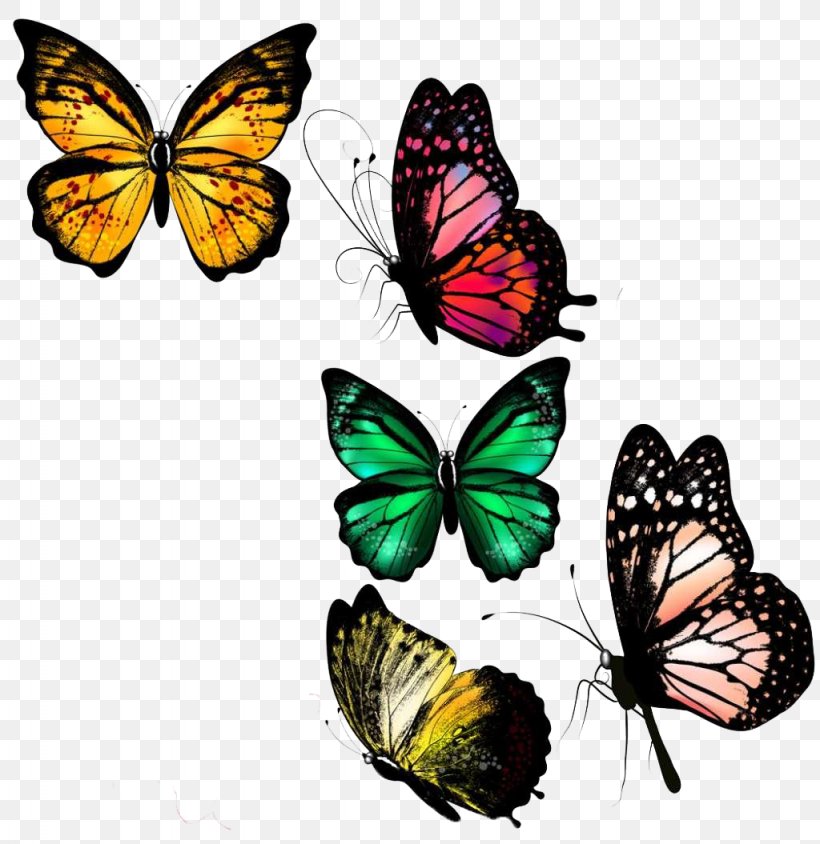 Butterfly Illustration, PNG, 1024x1055px, Butterfly, Art, Arthropod, Brush Footed Butterfly, Color Download Free