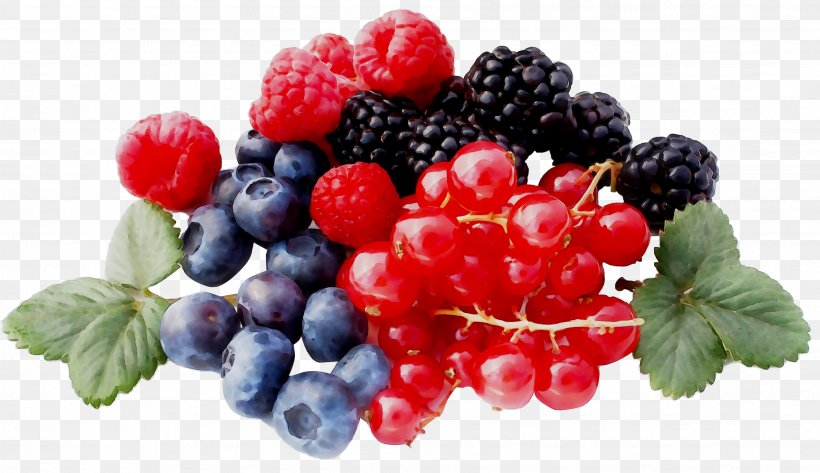 Zante Currant Raspberry Blueberry Boysenberry Bilberry, PNG, 3419x1974px, Zante Currant, Accessory Fruit, Berries, Berry, Bilberry Download Free