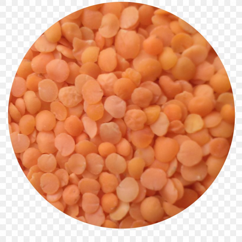 Bean Mixture, PNG, 1502x1502px, Bean, Ingredient, Legume, Mixture, Orange Download Free