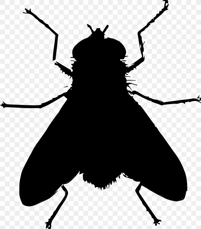 Whis Clip Art Silhouette Beerus Vector Graphics, PNG, 4000x4560px, Whis, Arthropod, Beerus, Beetle, Blister Beetles Download Free