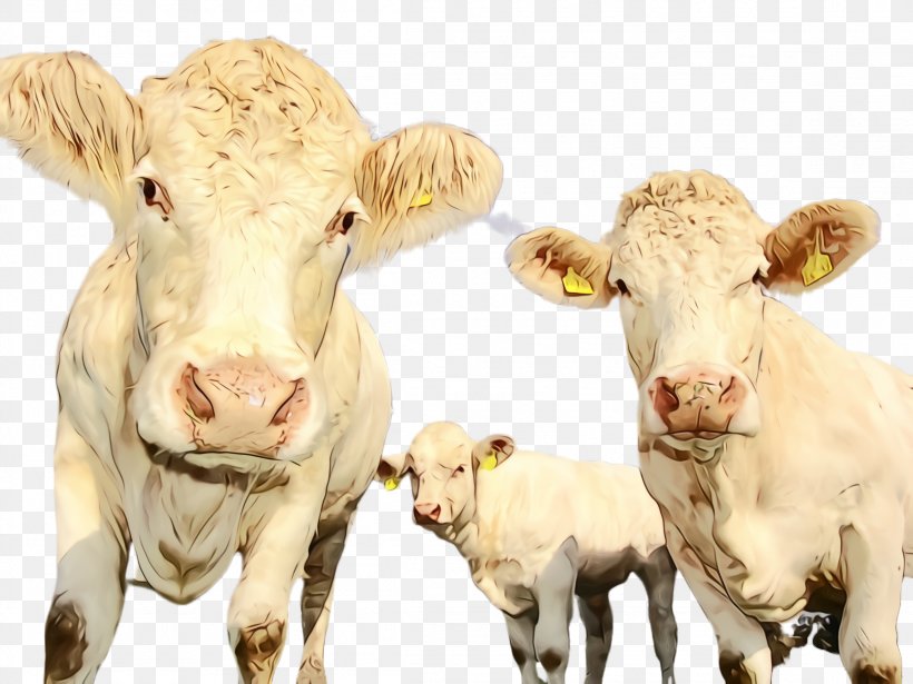 Bovine Calf Dairy Cow Animal Figure Livestock, PNG, 2308x1732px, Watercolor, Animal Figure, Bovine, Calf, Cowgoat Family Download Free