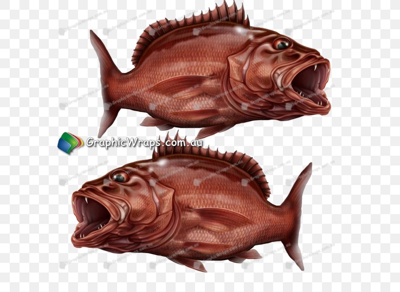 Fish Carp Mangrove Sticker Sump, PNG, 600x600px, Fish, Advertising, Anglerfish, Animal Source Foods, Carp Download Free