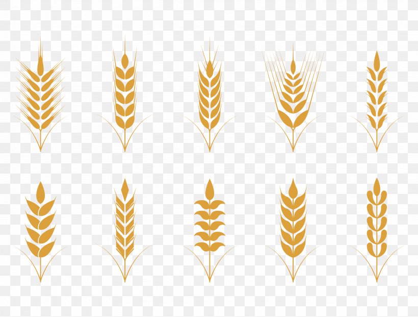 Oat Cereal Wheat Icon, PNG, 3898x2953px, Oat, Agriculture, Cereal, Commodity, Ear Download Free