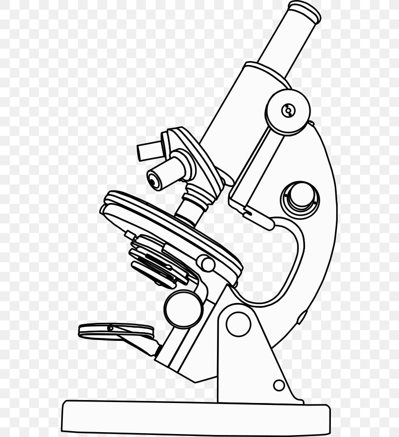 Optical Microscope Clip Art, PNG, 569x900px, Microscope, Area, Art, Artwork, Black And White Download Free