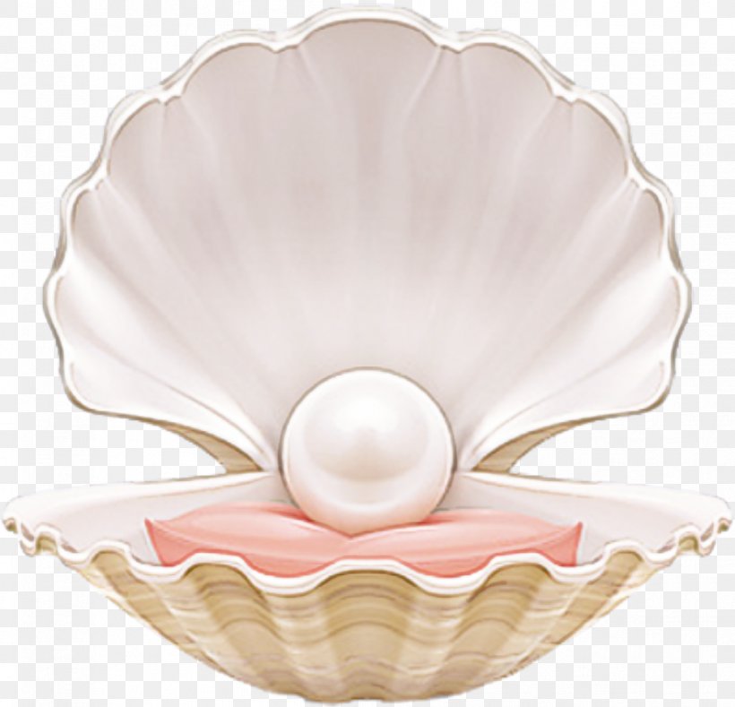 Pink Pearl Tableware Bivalve Natural Material, PNG, 992x955px, Pink, Bivalve, Bowl, Natural Material, Pearl Download Free