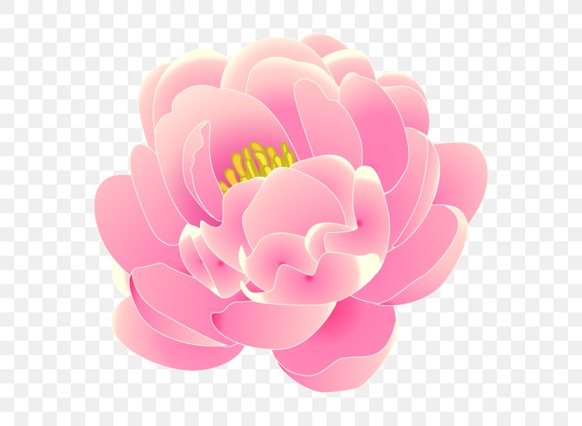 Sasaki Buddhist Altar Shop Tsurusaki Peony Knowledge Skin, PNG, 600x600px, Peony, Closeup, Dahlia, Flower, Flowering Plant Download Free