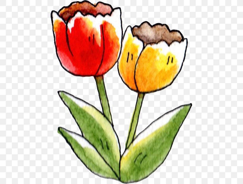 Tulip Clip Art Flower Illustration Petal, PNG, 480x620px, Tulip, Art, Artwork, Cut Flowers, Flower Download Free