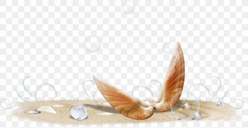 Sand Download Clip Art, PNG, 1280x660px, Sand, Animation, Beach, Computer Software, Feather Download Free