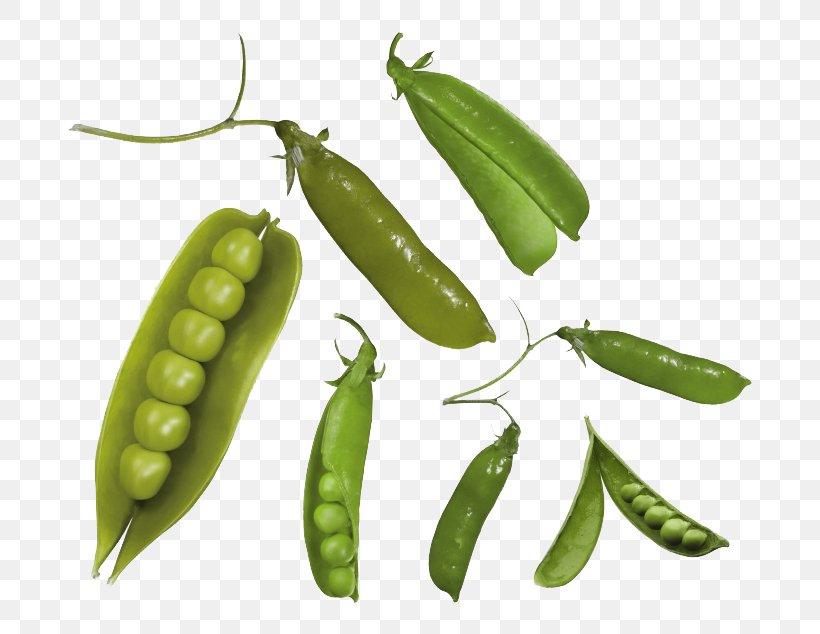 Snap Pea Common Bean, PNG, 760x634px, Snap Pea, Common Bean, Food, Fruit, Gimp Download Free