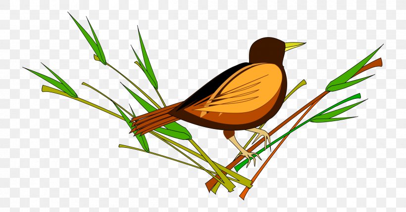 Bird Sparrow Clip Art, PNG, 2400x1257px, Bird, Beak, Bird Flight, Branch, Drawing Download Free