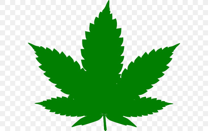 Cannabis Sativa Clip Art Leaf Hashish, PNG, 600x519px, Cannabis, Cannabis Sativa, Grass, Green, Hashish Download Free