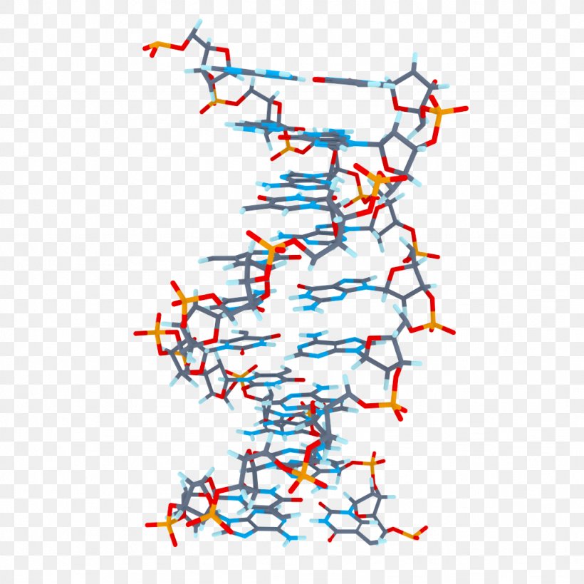 DNA Clip Art, PNG, 1024x1024px, 3d Computer Graphics, Dna, Apache Http Server, Area, Biology Download Free