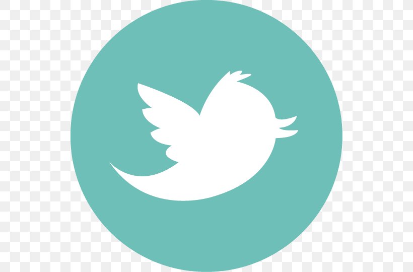 Social Media Multilaw Advertising Logo, PNG, 540x540px, Social Media, Advertising, Aqua, Beak, Bird Download Free