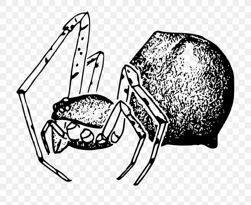 Spider Cabello Mammal Stemmops Genus, PNG, 1200x981px, Spider, Artwork, Black And White, Cabello, Cartoon Download Free