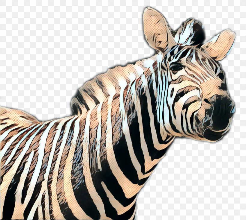 Zebra Cartoon, PNG, 1024x918px, 2019, Pop Art, Animal, Animal Figure, Colonie De Vacances Download Free