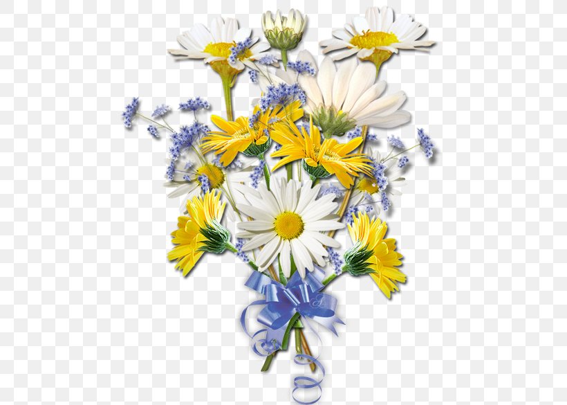 Common Daisy Floral Design Cut Flowers Oxeye Daisy Chrysanthemum, PNG, 500x585px, Common Daisy, Artificial Flower, Aster, Chamaemelum Nobile, Chamomiles Download Free