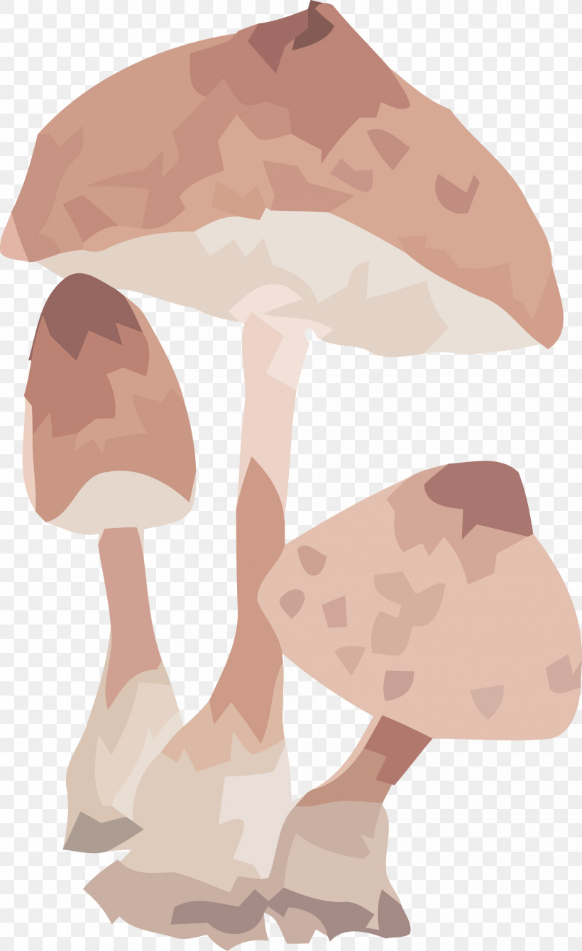 Mushroom, PNG, 1834x2999px, Mushroom, Hm Download Free