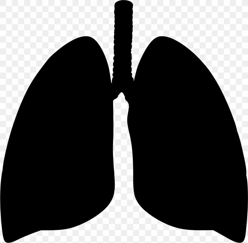 Clip Art Lung, PNG, 1347x1320px, Lung, Black, Blackandwhite, Breathing, Human Lung Download Free