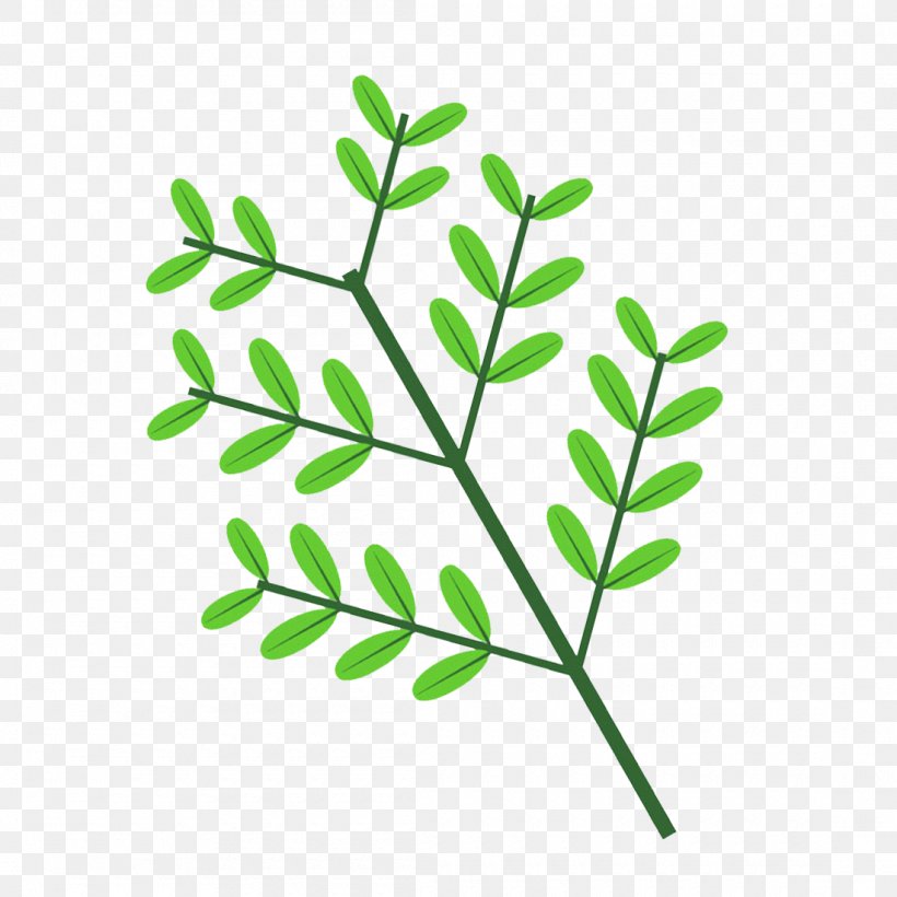 Twig Plant Stem Leaf Clip Art Line, PNG, 1100x1100px, Twig, Branch, Grass, Green, Leaf Download Free