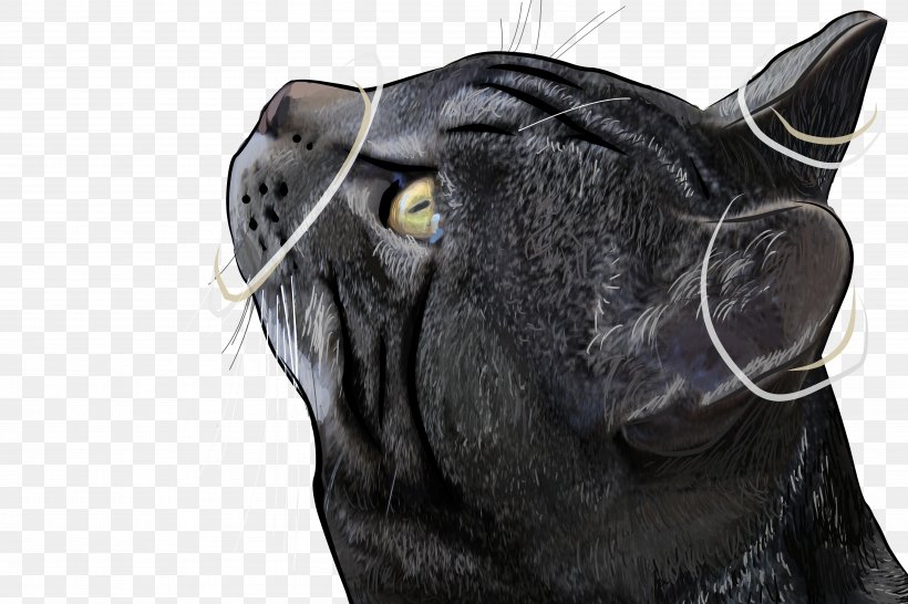 Black Cat Icon, PNG, 5184x3456px, Cat, Animal, Black Cat, Breed, Designer Download Free