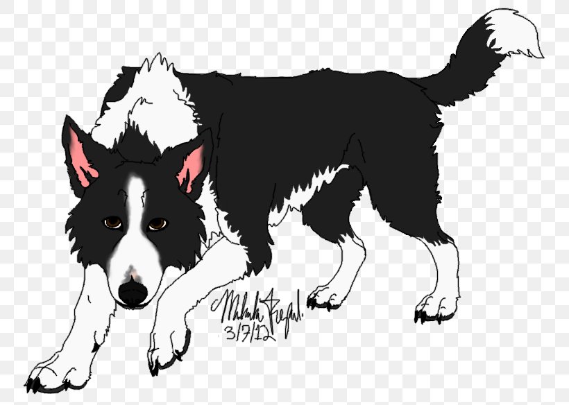 Border Collie Karelian Bear Dog Rough Collie Dog Breed Canidae, PNG, 762x584px, Border Collie, Animal, Bear, Black And White, Breed Download Free