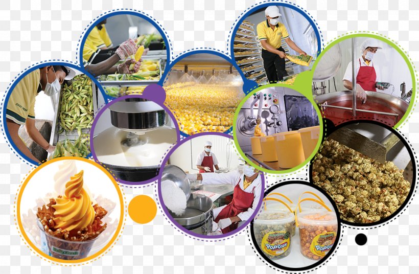 Food Processing Good Manufacturing Practice Technology Factory, PNG, 969x634px, Food, Best Practice, Factory, Food Processing, Good Manufacturing Practice Download Free