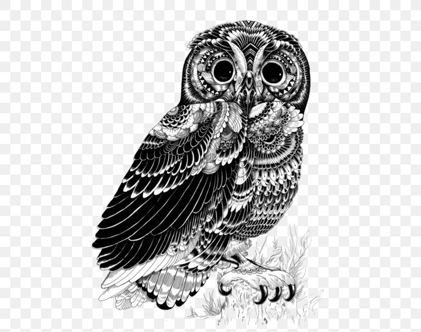 Owl Drawing Art Illustrator, PNG, 500x646px, Owl, Art, Art Museum, Beak, Bird Download Free