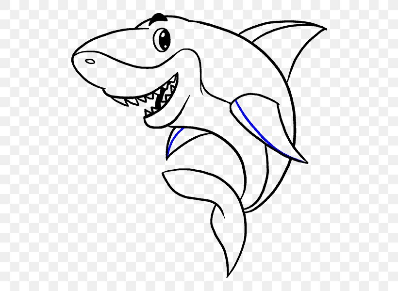 Shark Drawing Cartoon Clip Art, PNG, 678x600px, Shark, Area, Art, Artwork, Beak Download Free