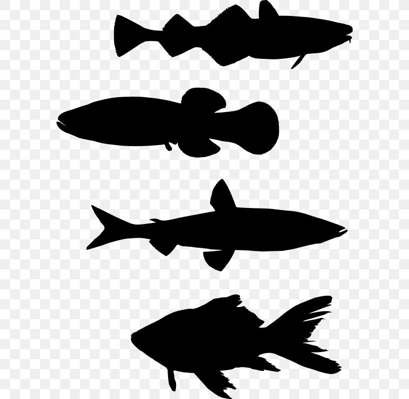 Fishing Silhouette Clip Art, PNG, 594x800px, Fish, Artwork, Beak, Black And White, Cdr Download Free
