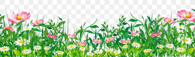 Flower Clip Art, PNG, 2000x592px, Flower, Art, Common Daisy, Field, Flowering Plant Download Free