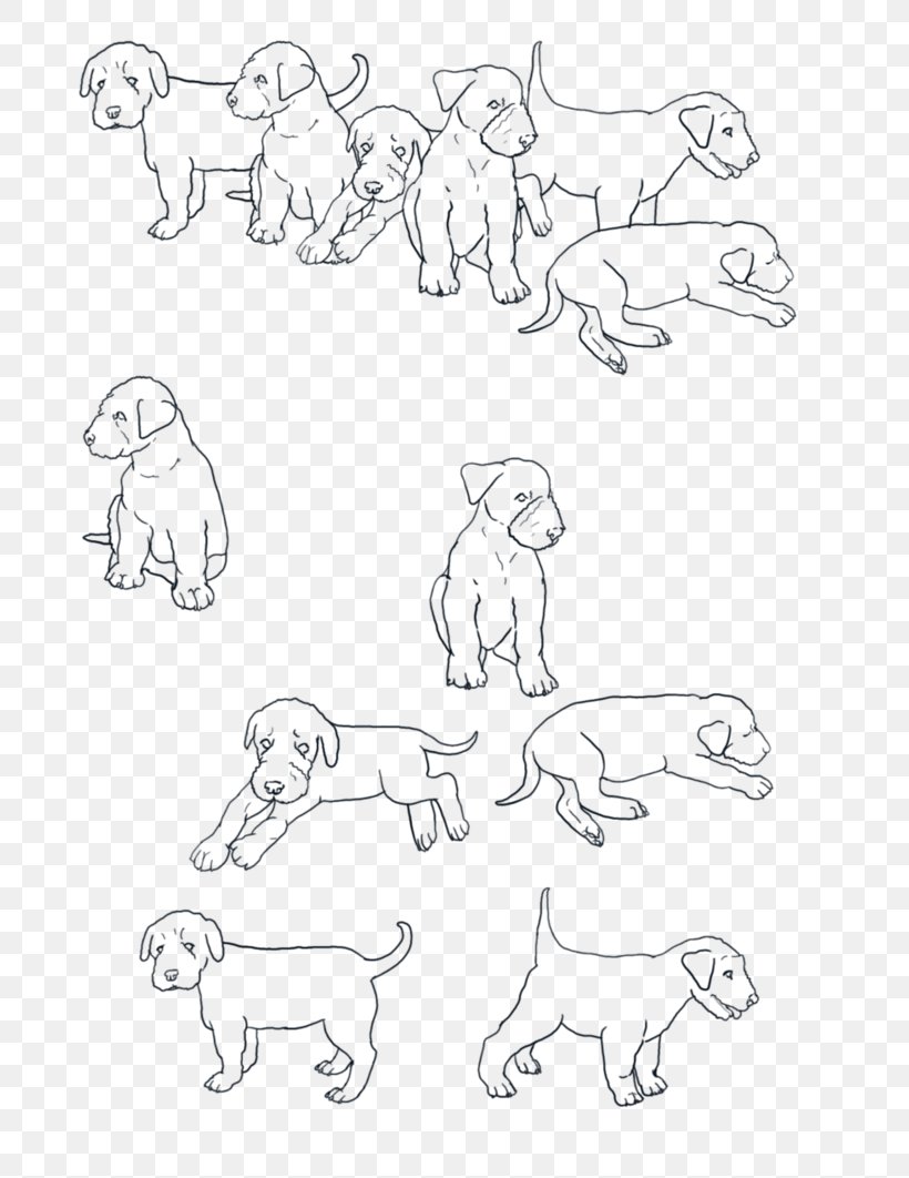 Airedale Terrier Australian Terrier Sketch Line Art, PNG, 753x1062px, Airedale Terrier, Area, Arm, Art, Art Museum Download Free