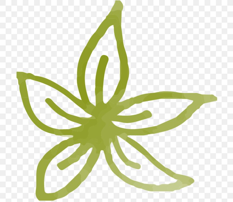 Clip Art Plant Stem Product Design Leaf Line, PNG, 723x712px, Plant Stem, Flower, Fruit, Green, Leaf Download Free