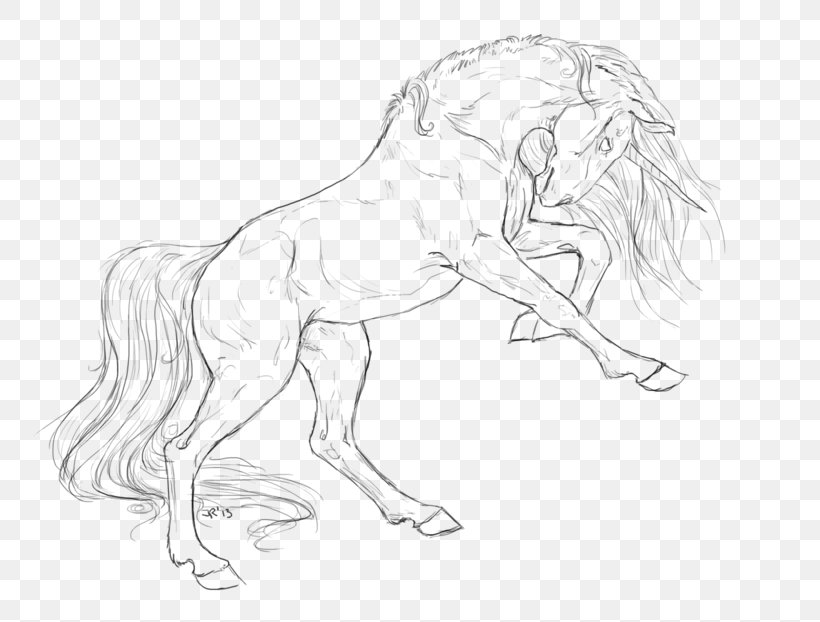 Mustang Mane Pack Animal Drawing Sketch, PNG, 800x622px, Mustang, Arm, Artwork, Black And White, Carnivora Download Free