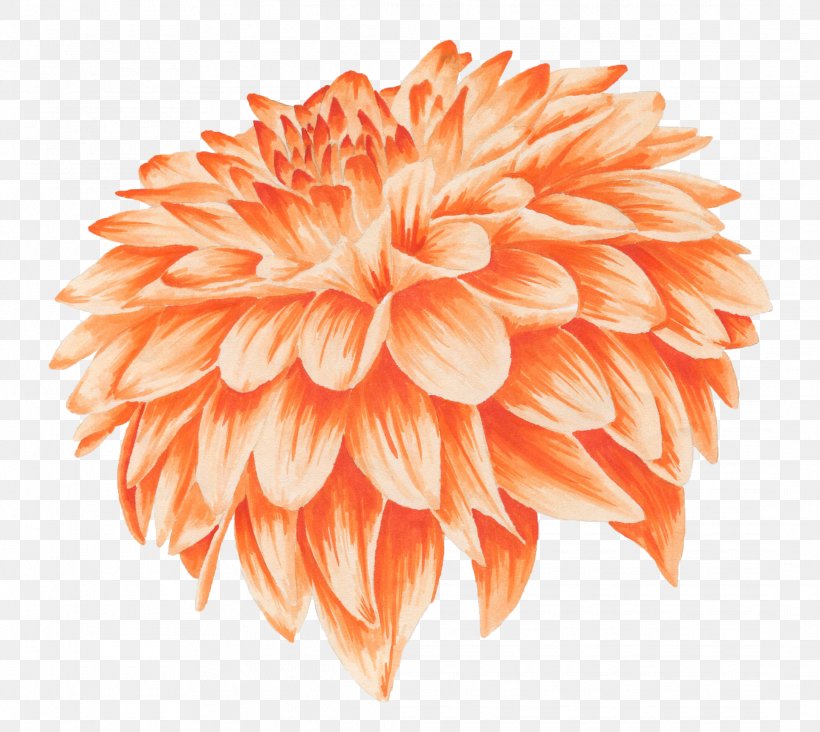 Orange Flower Chrysanthemum Yellow Watercolor Painting, PNG, 2176x1944px, Orange, Calendula Officinalis, Chrysanthemum, Chrysanths, Color Download Free
